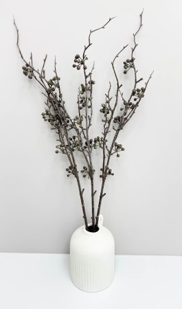 Ветка декоративная с мелкими круглыми плодами