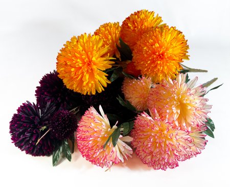 Хризантема "Агата" 5 цветков 3 бутона