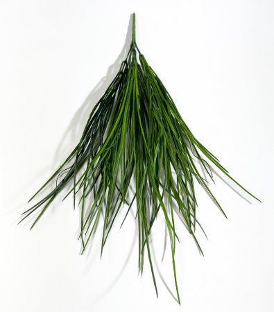 картинка Ветка осоки Природа Байкала (уценка неравномерный прокрас) от магазина KALINA