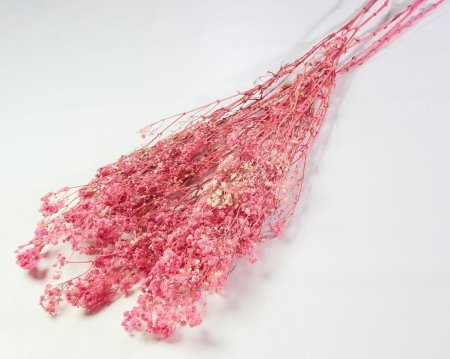 Гипсофила 6