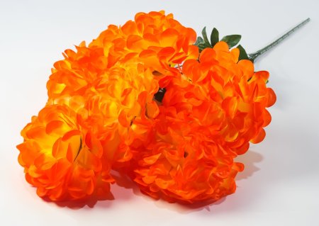 Букет шафрана "Великан" 7 цветков