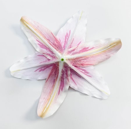 Насадка лилии латекс малиновая