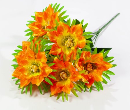 1e8009b51ce0eaa6443729fb5a432a5b