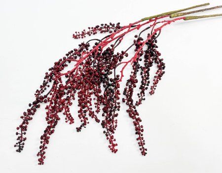 картинка Фитолакка бордо от магазина KALINA