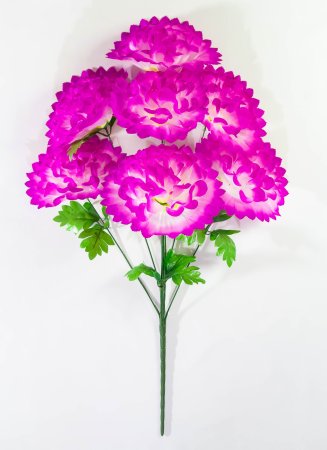 Шафран "Звезда великан"