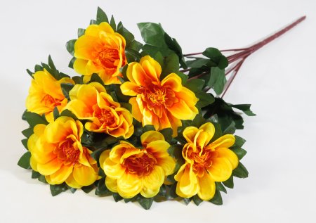 Букет георгина Ласка 7 цветков