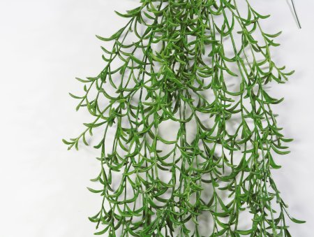 картинка Ветка плант "Бананчик" от магазина KALINA