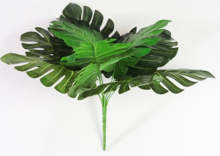 картинка Монстера крупная от магазина KALINA