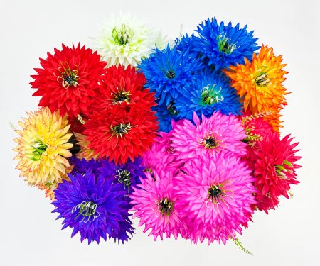 Астра "Венец" малая 7 цветков