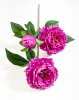 Ветка пиона "Феликс Суприм" малиновый