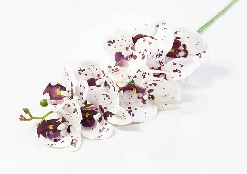 Ветка орхидеи 3 от магазина KALINA являющийся официальным дистрибьютором в России 
