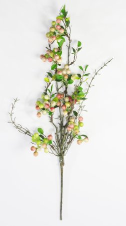 Ветка с разноцветными ягодами