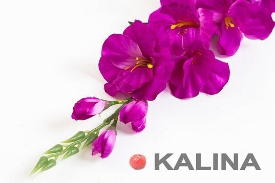 Ветка гладиолуса маленькая 7 цветков 3 бутона от магазина KALINA являющийся официальным дистрибьютором в России 