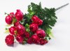 Ранункулюс 17 цветков