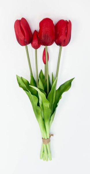 Тюльпан "Корона весны" красный 