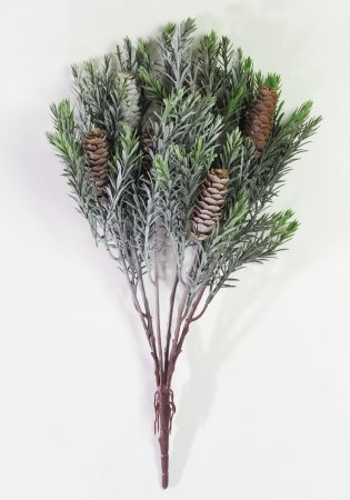 картинка Ветка с шишками Поздняя осень от магазина KALINA