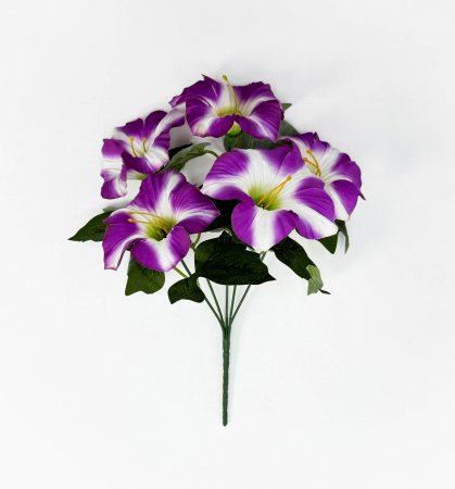 Петуния "Легкая волна" 5 цветков