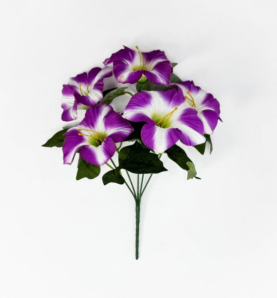 Петуния "Легкая волна" 5 цветков