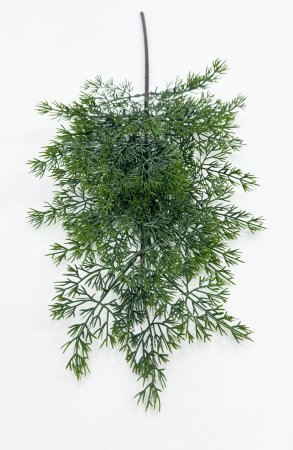 картинка Туя "Летняя пора" темно-зеленая 2 от магазина KALINA