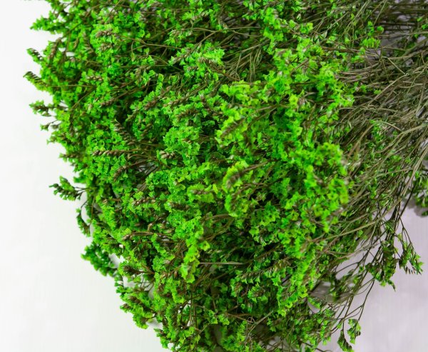 Лимониум стабилизированный 5