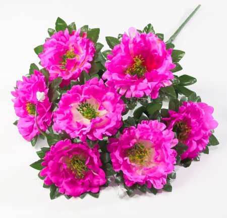 Букет пионов "Принцесса" 7 цветков