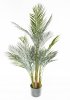 Финиковая пальма малая 120 см.