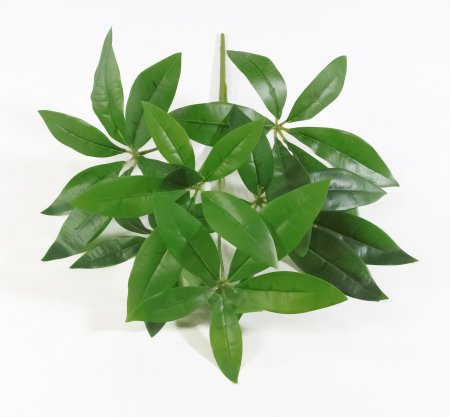 картинка Ветка шефлеры от магазина KALINA