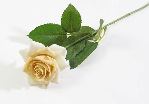 Роза с латексным покрытием открытая золото от магазина KALINA являющийся официальным дистрибьютором в России 