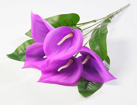 Букет калл "Юбилейный" 5 цветков от магазина KALINA являющийся официальным дистрибьютором в России 
