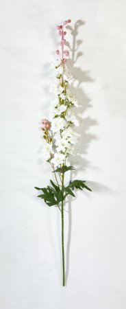 Дельфиниум Галант