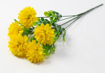 Хризантема "Гавриш" 5 цветков