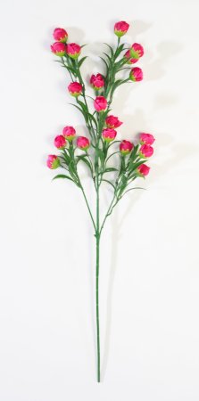 Ветка "Пицея" высокая малиновая