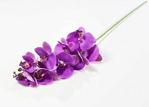 Ветка орхидеи 6 от магазина KALINA являющийся официальным дистрибьютором в России 