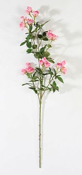 Кустовая роза светло-розовая от магазина KALINA являющийся официальным дистрибьютором в России 