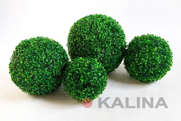 Самшит №3-темный