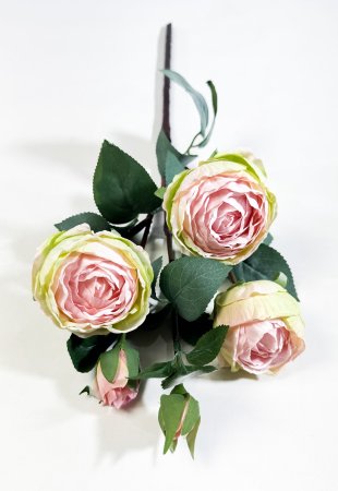 Ветка пионовидной розы Октава светло-розовая