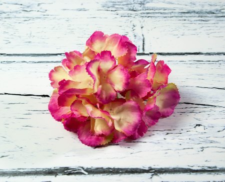 Насадка гортензии