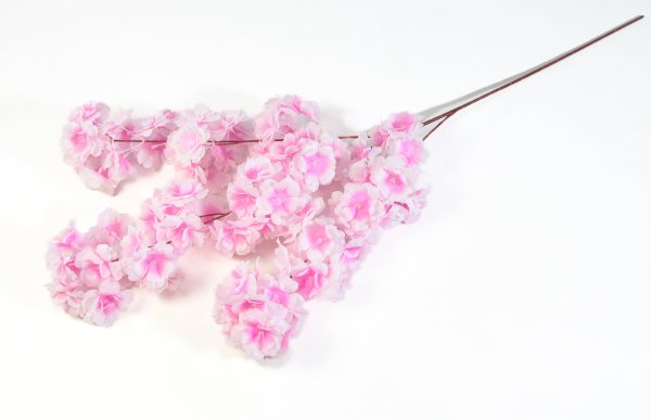 Ветка яблони "Карамелька" светло-розовая