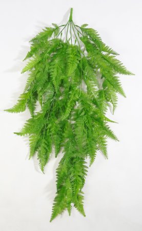 картинка Ампельная даваллия Канарская от магазина KALINA