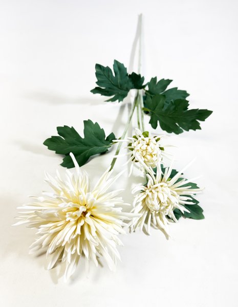 Хризантема "Аннеси"