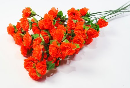 Ветка гвоздики 7 цветков