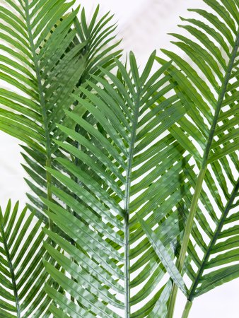 Пальма "Дипсис" 9 листов 130 см БЕЗ КАШПО