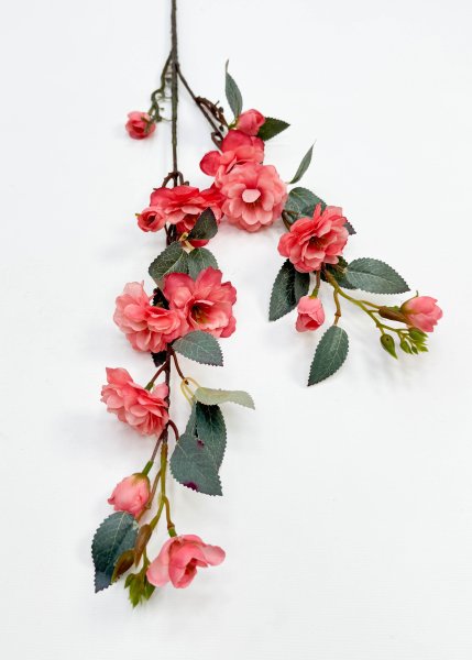 Сакура "Самурайский бутон"