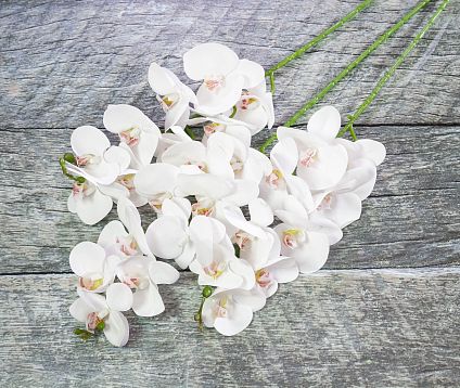 Ветка орхидеи 10 от магазина KALINA являющийся официальным дистрибьютором в России 