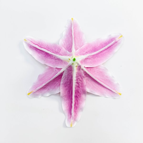 Насадка лилии латекс розовая