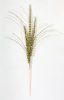Ветка колос золото