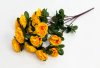Гвоздика "Флоренция" 15 цветков