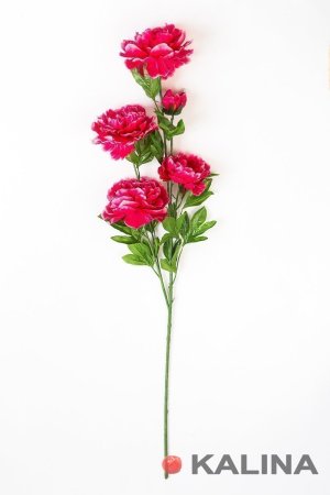 Ветка пиона 4 цветка 1 бутон