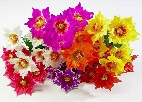 Астра "Огниво" 6 цветков от магазина KALINA являющийся официальным дистрибьютором в России 