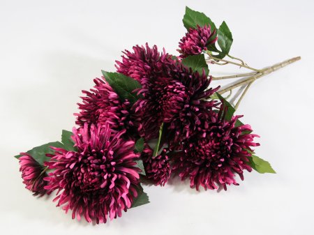 Ветка хризантем "Зембла" 5 цветков 2 бутона